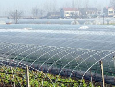 點(diǎn)擊查看詳細(xì)信息<br>標(biāo)題：PO膜 閱讀次數(shù)：14278