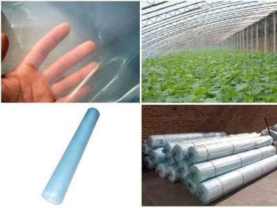 點(diǎn)擊查看詳細(xì)信息<br>標(biāo)題：流滴膜使用案例 閱讀次數(shù)：12579