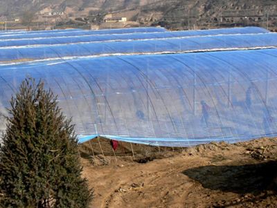 點(diǎn)擊查看詳細(xì)信息<br>標(biāo)題：灌漿膜使用案例 閱讀次數(shù)：13783